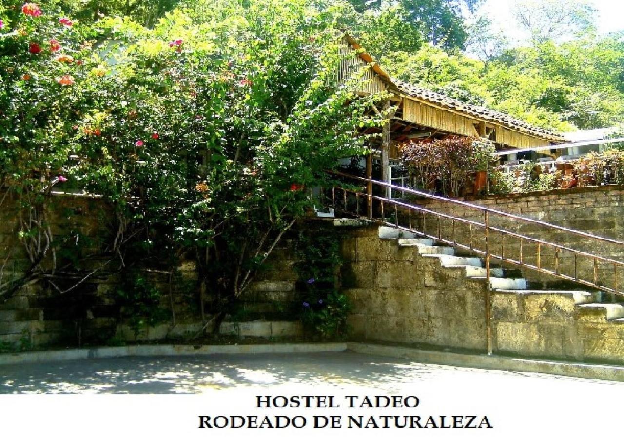 Hostel Tadeo Сан-Хуан-дель-Сур Екстер'єр фото